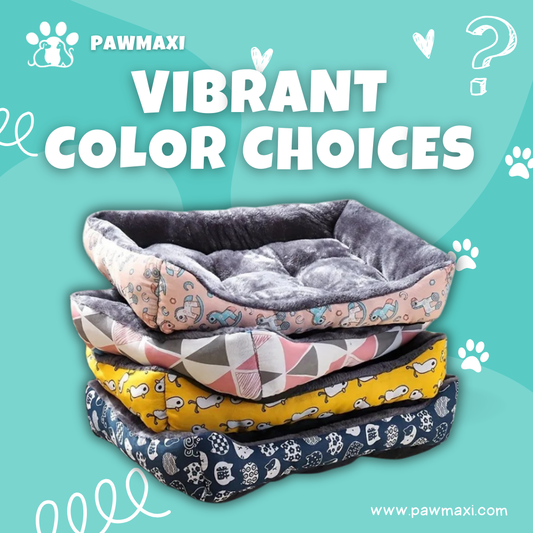 Premium Pet Sofa Bed