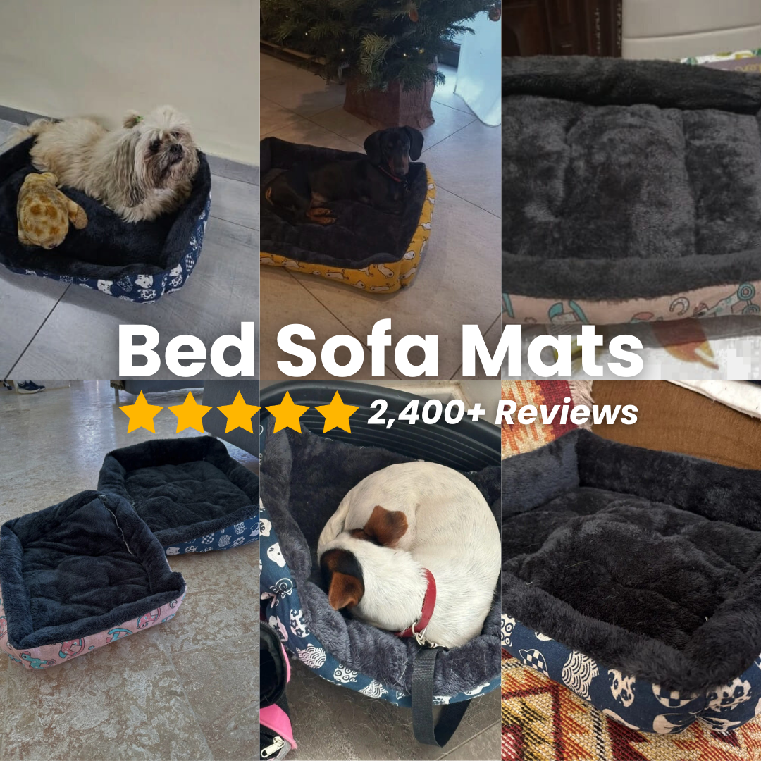 Premium Pet Sofa Bed