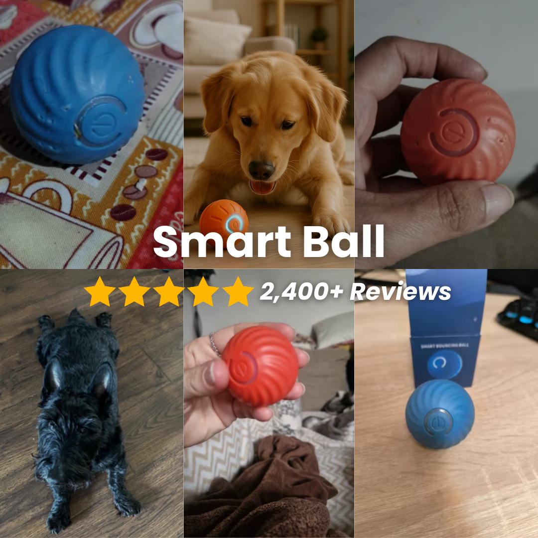 Smart Dog Toy Ball