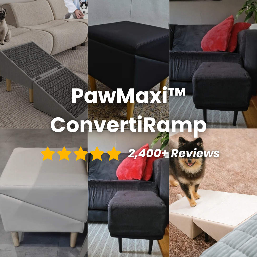 🐾PawMaxi™ ConvertiRamp 2-in-1 Wooden Dog Ramp & Step Stool