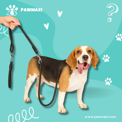 Urban Jean Dog Leash