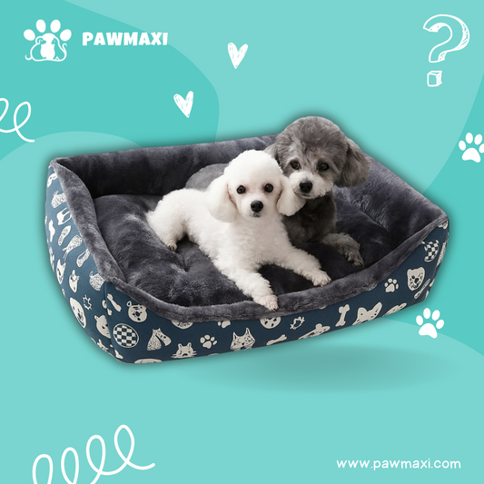 Premium Pet Sofa Bed