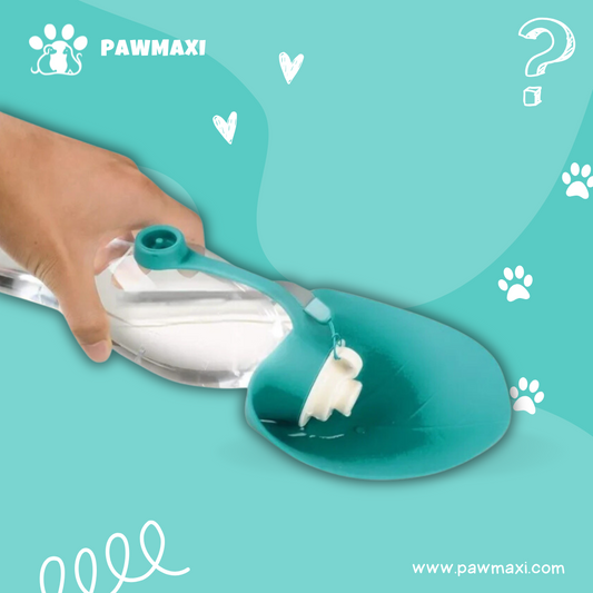 Portable Dog Water Bottle