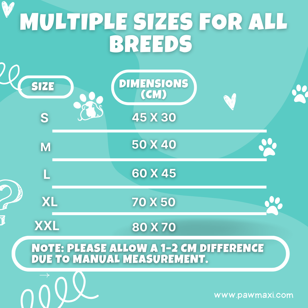 Premium Pet Sofa Bed