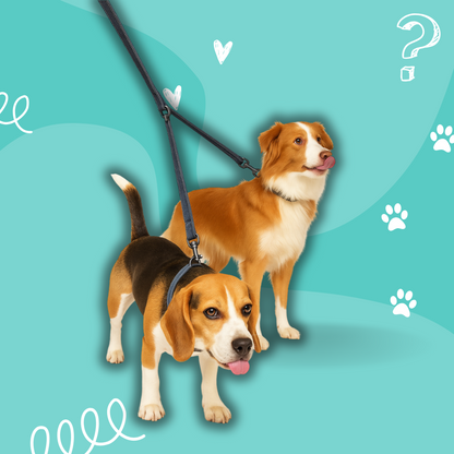 Urban Jean Dog Leash