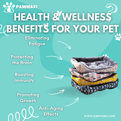 Premium Pet Sofa Bed