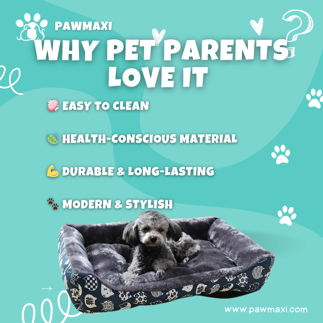 Premium Pet Sofa Bed