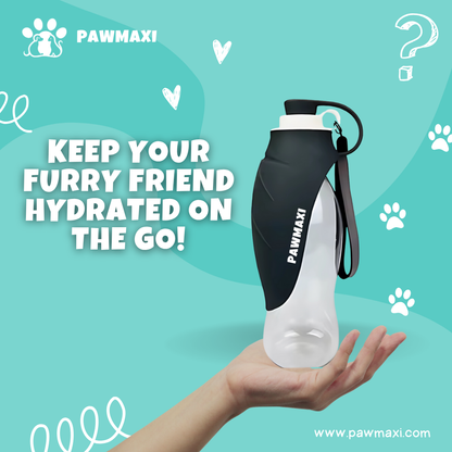 Portable Dog Water Bottle