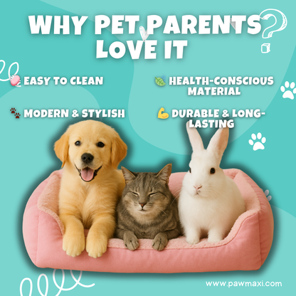 🛏️ SnuggleNest™ Plush Pet Bed