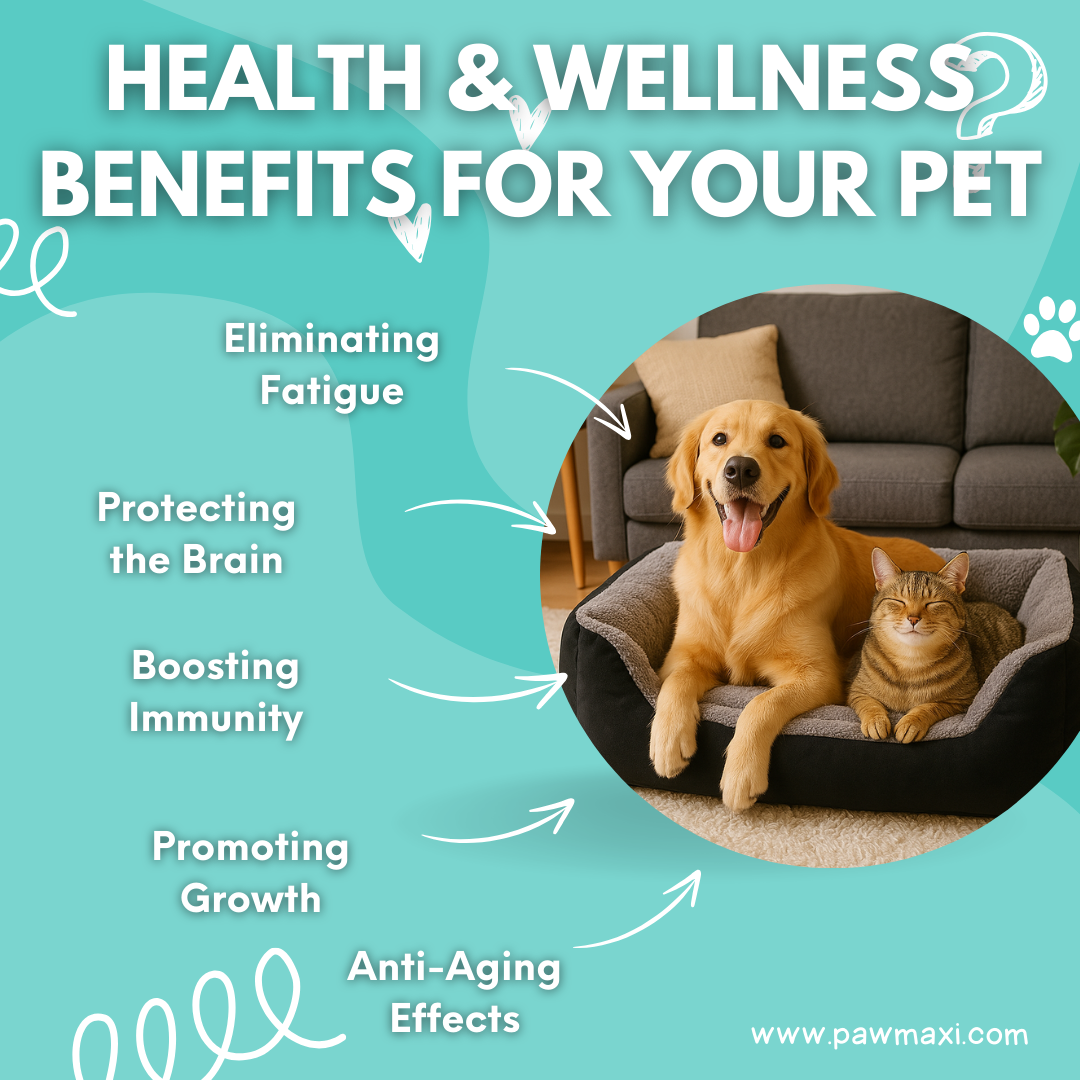 🛏️ SnuggleNest™ Plush Pet Bed