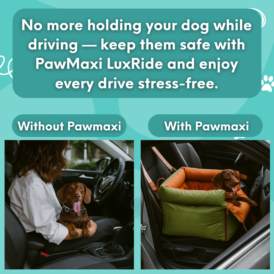 PawMaxi LuxRide™ – Premium Faux Leather Car Seat & Bed for Pets