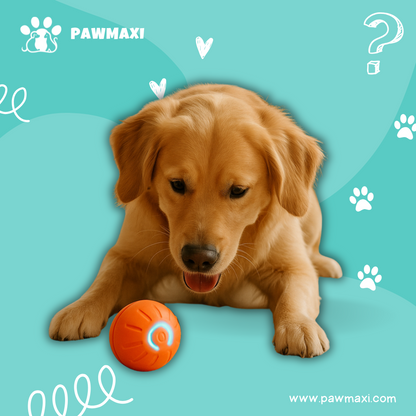 Smart Dog Toy Ball