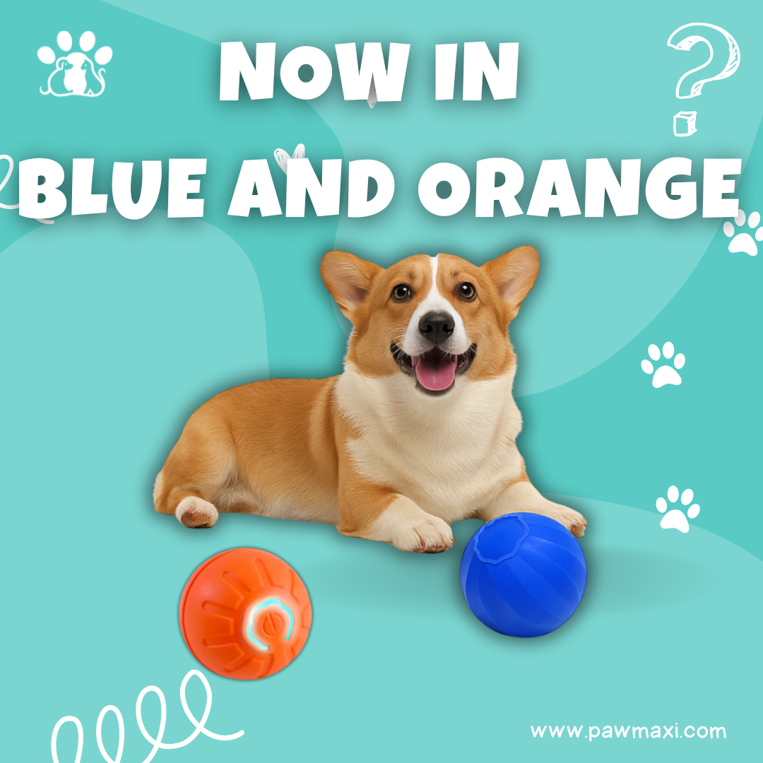 Smart Dog Toy Ball