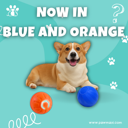 Smart Dog Toy Ball