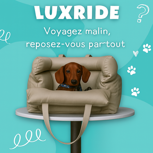 PawMaxi LuxRide™ – Siège Auto & Lit Premium en Simili Cuir pour Animaux