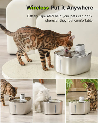 🐾 PawMaxi SmartFlow™ – 4L Wireless Water Fountain
